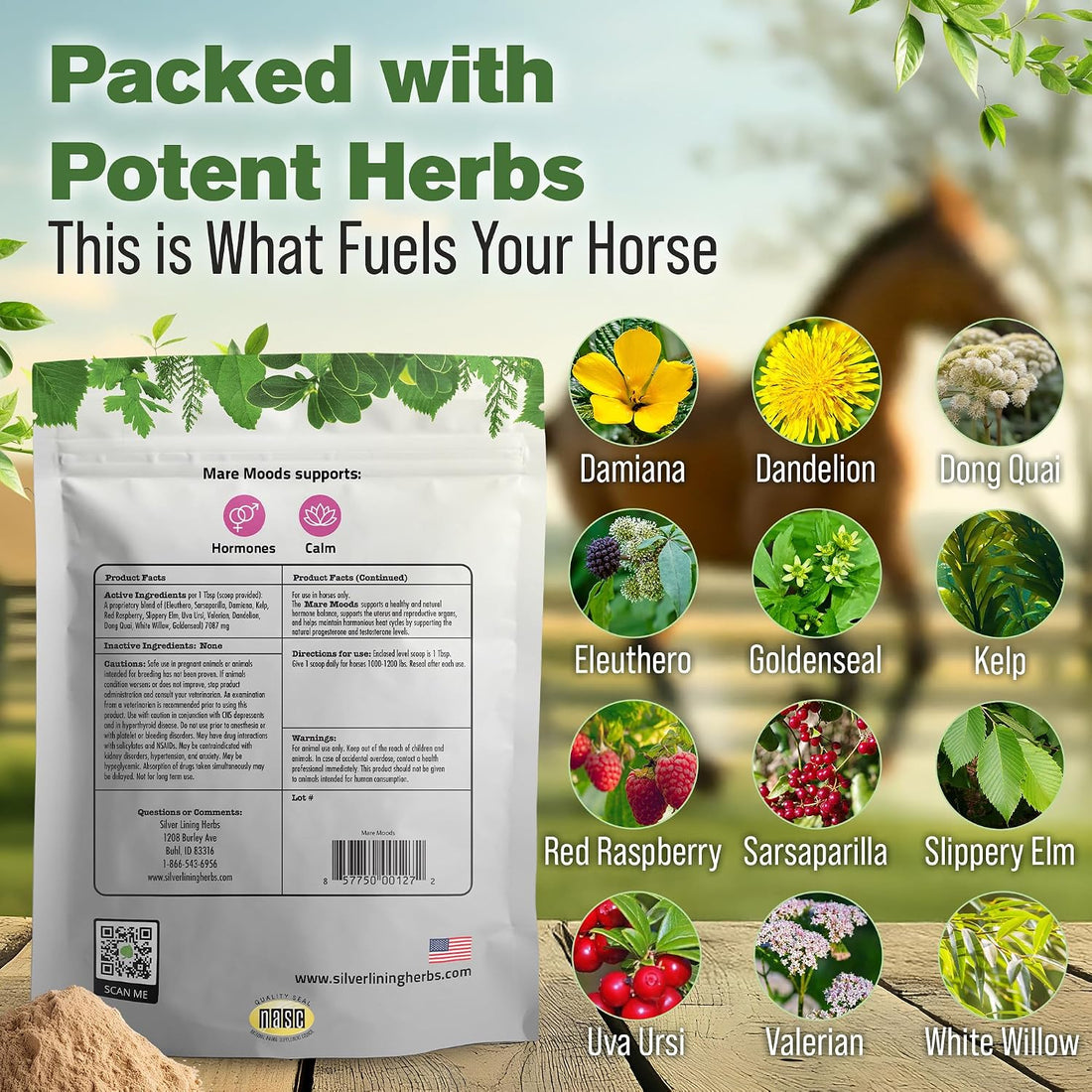 Silver Lining Herbs Mare Moods Calming Supplements for Horses - 1 lb