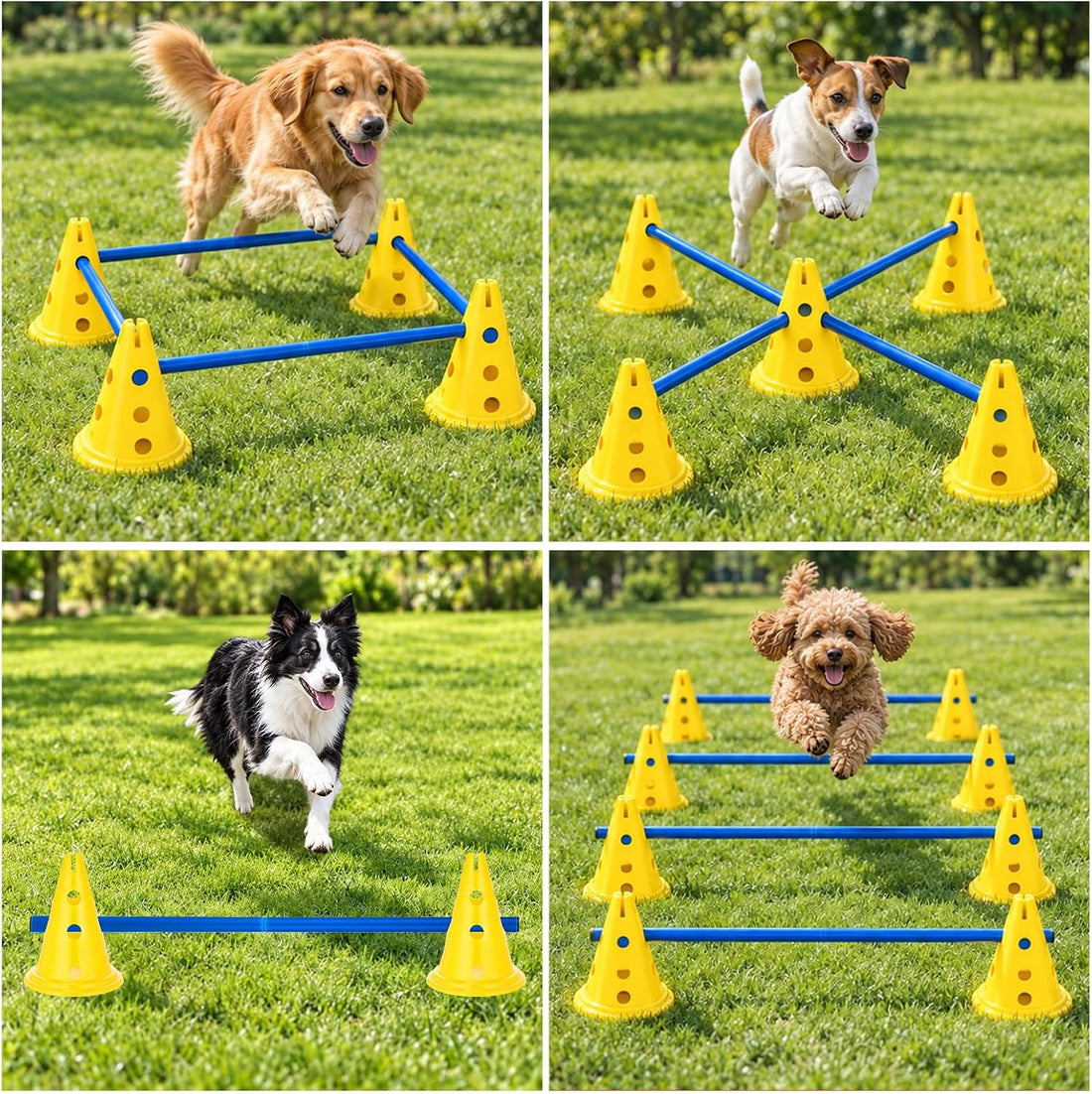 Dog Agility Hurdle Cone Set for Rehabilitation & Beginners