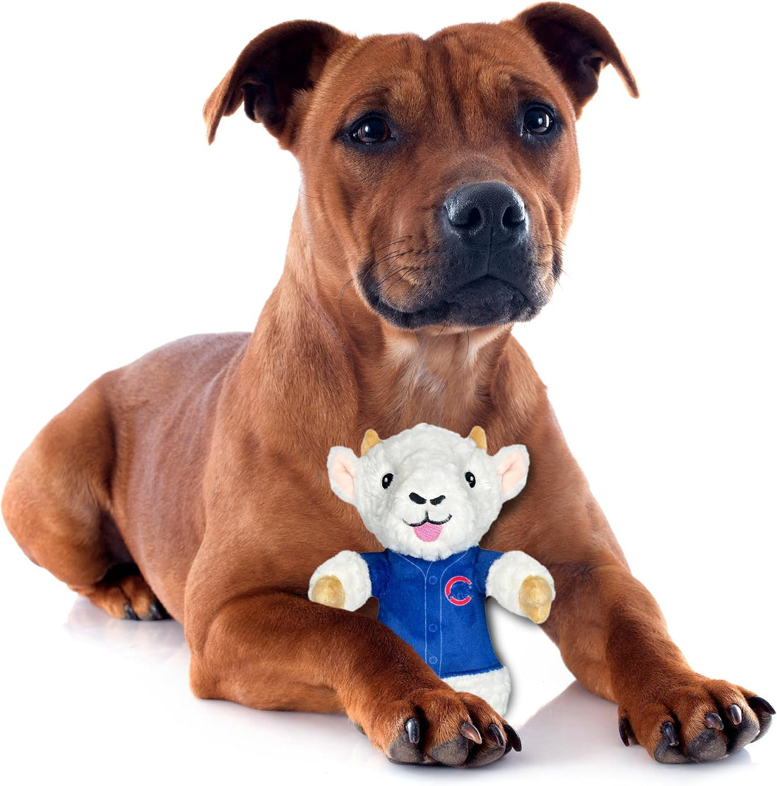 Pets First MLB Chicago Cubs Goat Plush Toy for Dogs and Cats
