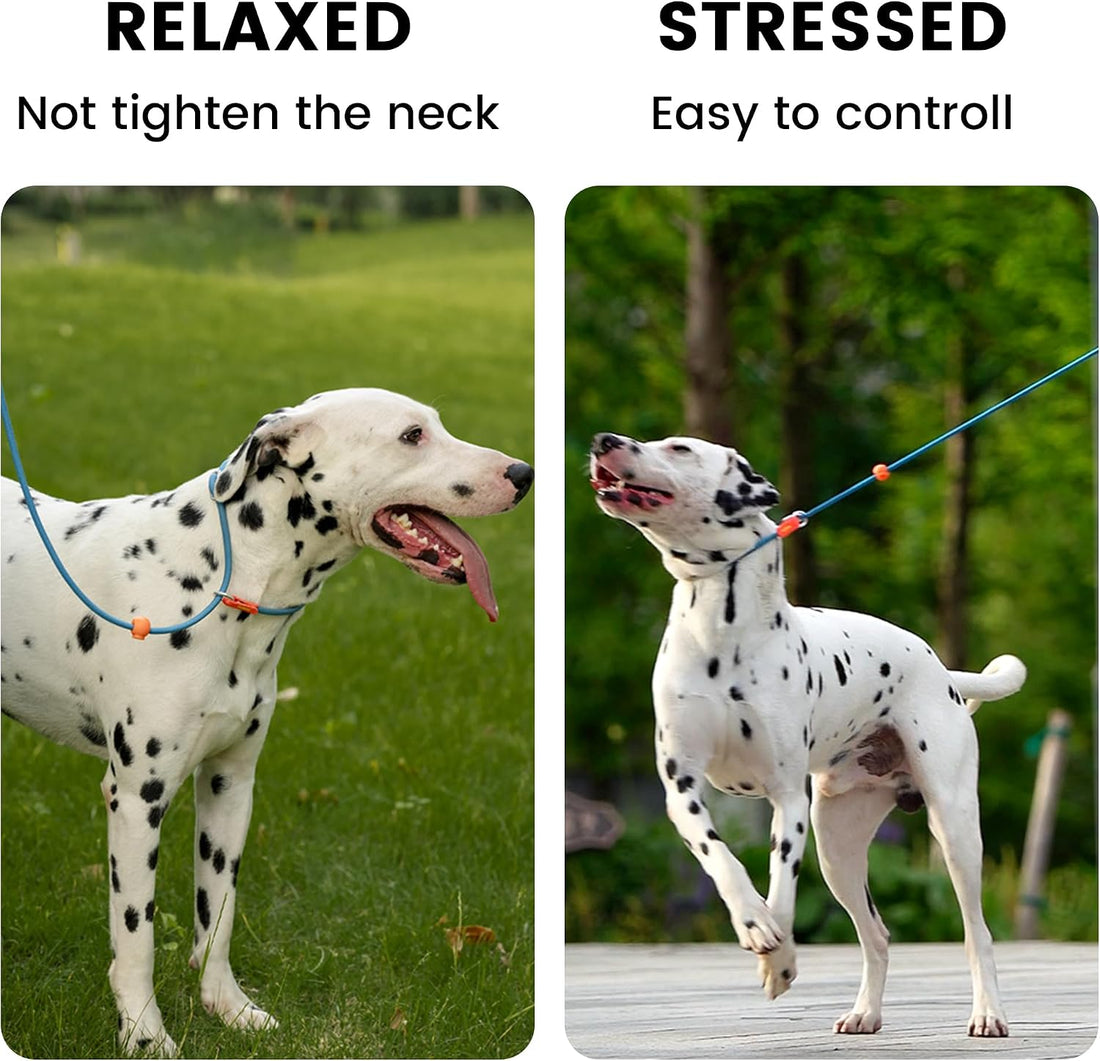 HowGo Slip Collar for Dogs,Adjustable Martingale Collar
