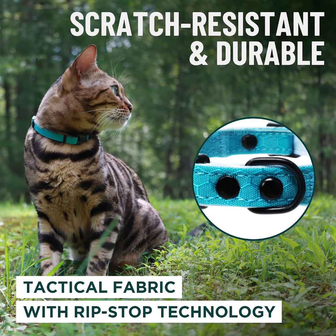 OutdoorBengal Durable Breakaway Cat Collar, No Bell (Blue, M/L)