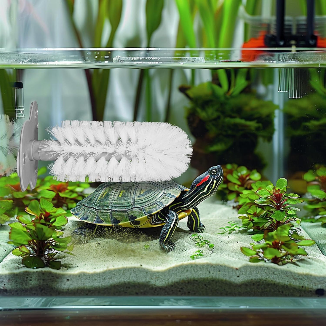 Turtle Brush with Suction Cup, Aquatic Turtle Tank Accessories