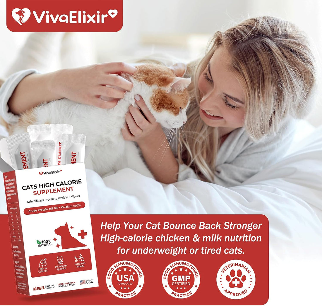 High Calorie Nutrition Paste for Cats
