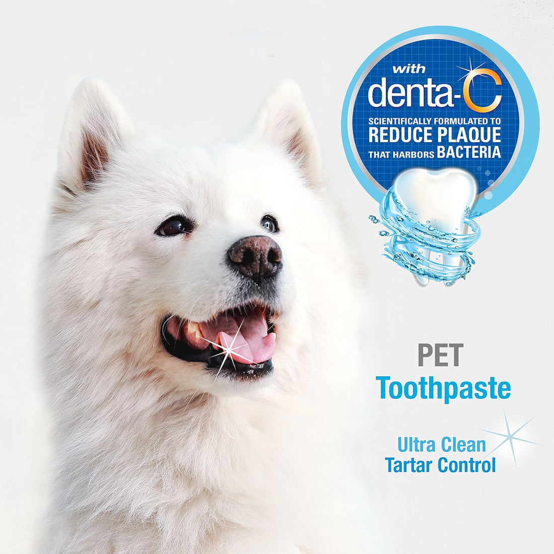Nylabone Advanced Oral Care Tartar Control Dog Toothpaste Original