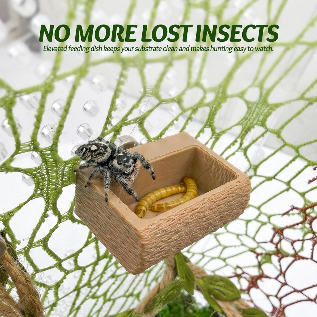 Jumping Spider Enclosure Accessories Kit - Magnetic Moss Ball Hideout