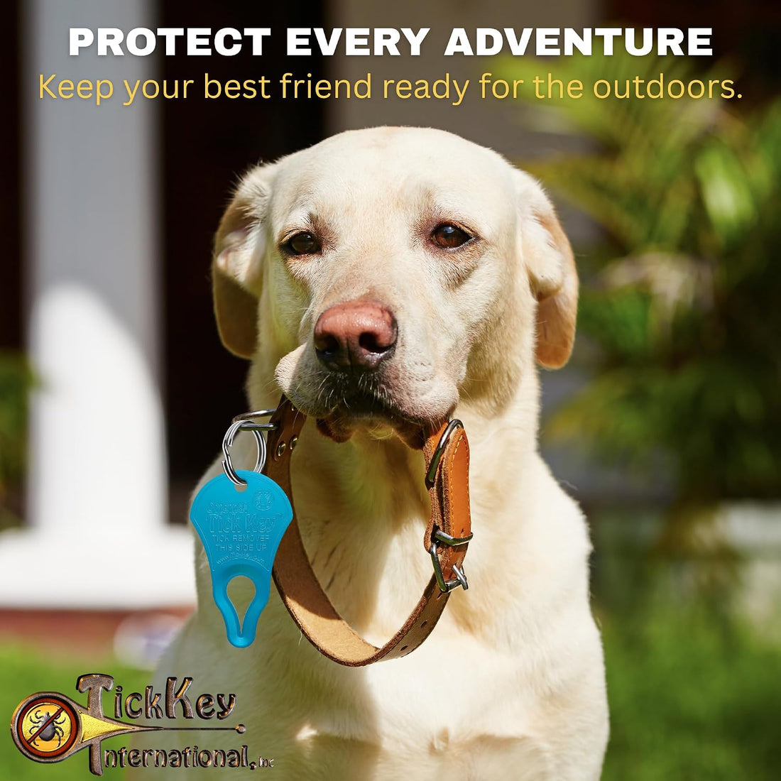 The Original Tick Key - Tick Detaching Device - Portable