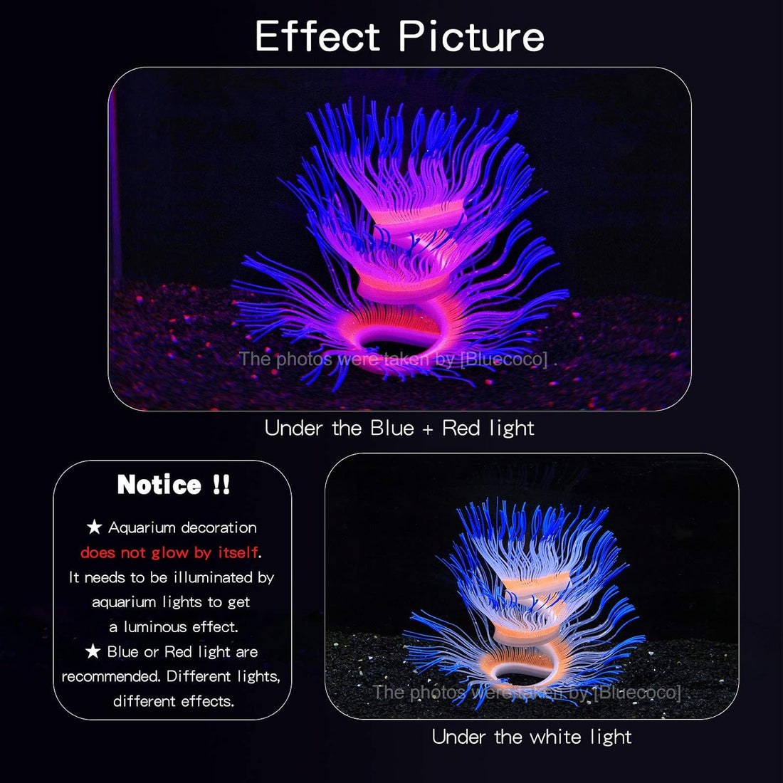 Soft Silicone Glow-in-Dark Anemone with Natural Water Motion