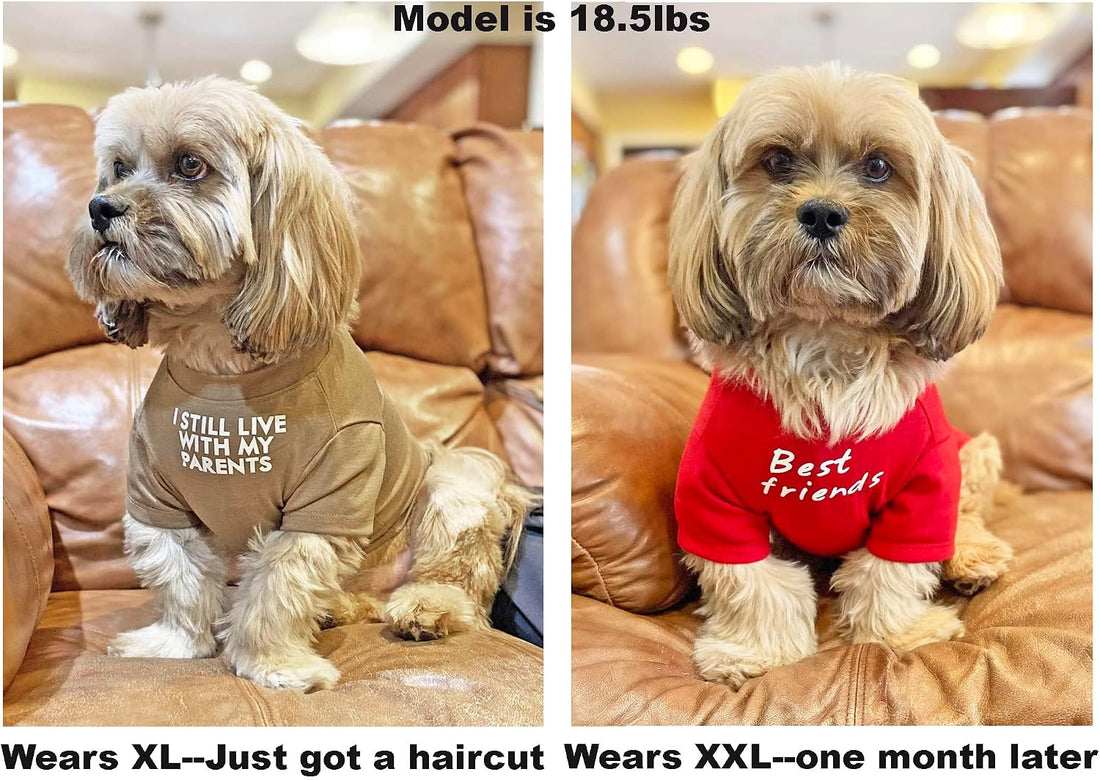 Cute Dog Clothes,Dog T Shirt for Medium and Small Girl Boy