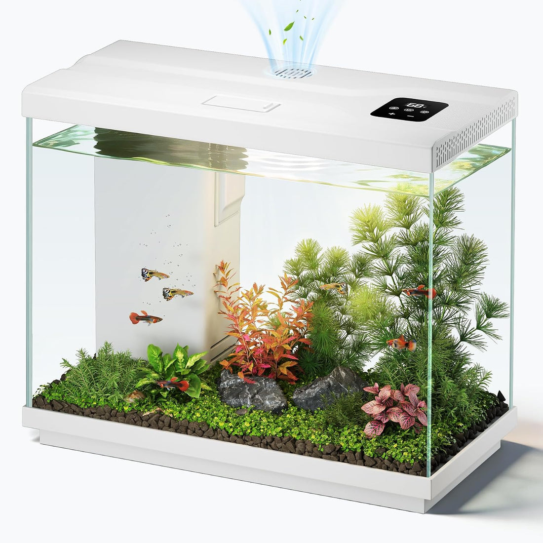 2.2 Gallon Small Fish Tank, Betta Fish Aquariums