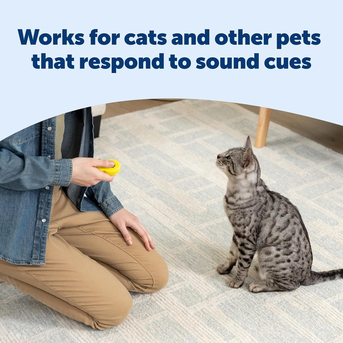 PetSafe Clik-R Dog Training Clicker