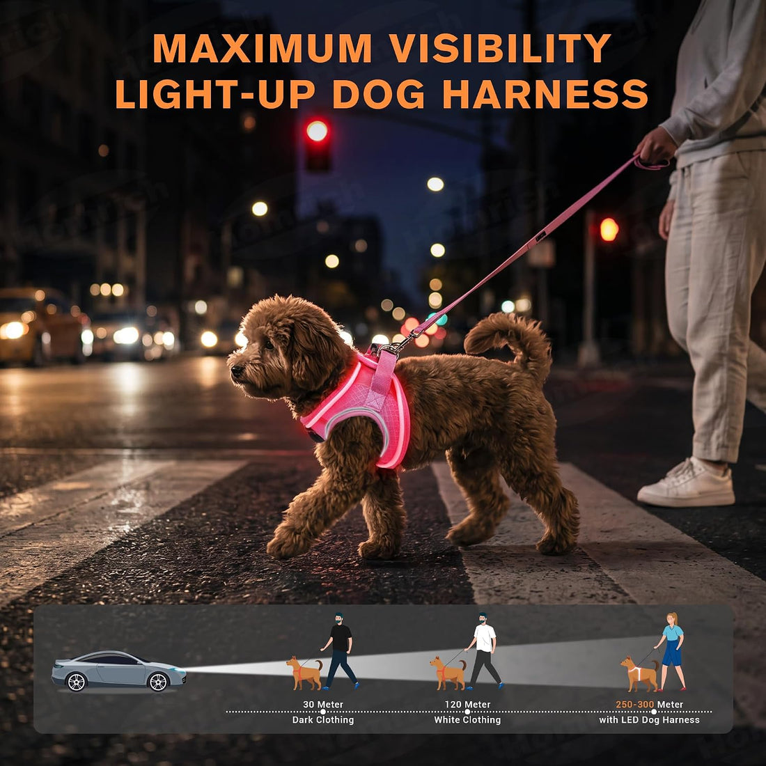 LED Dog Harness for Small Dogs Nighttime Safety Walks