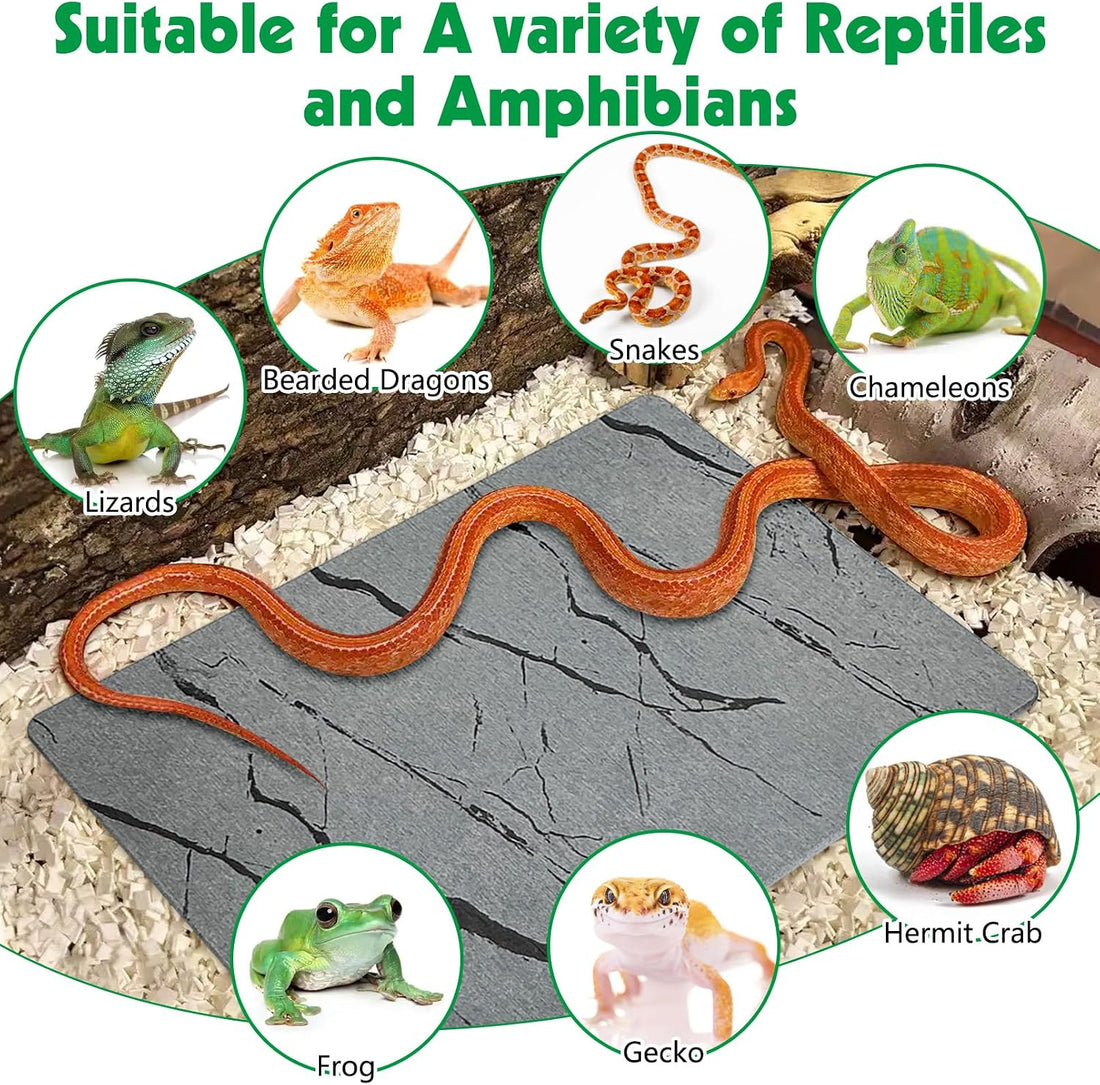 Diatomite Reptile Basking Platform Turtle Feeding Slate11.8x7.9
