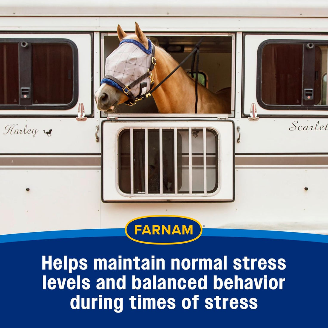 Farnam Quietex II Pellets Daily Horse Calming Supplement