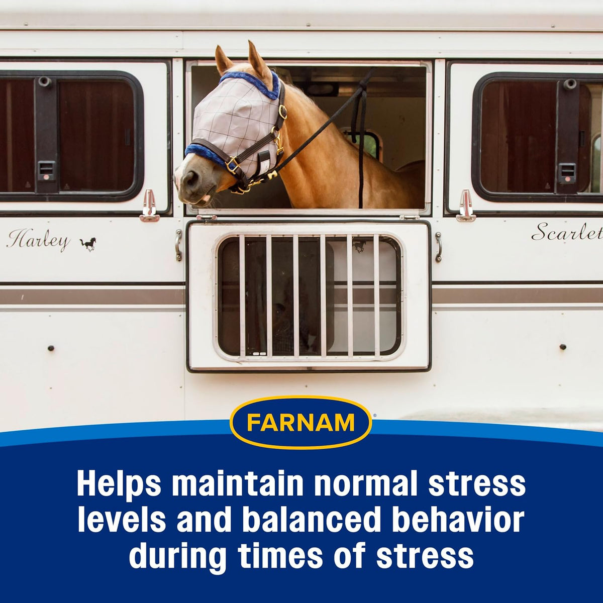 Farnam Quietex II Pellets Daily Horse Calming Supplement