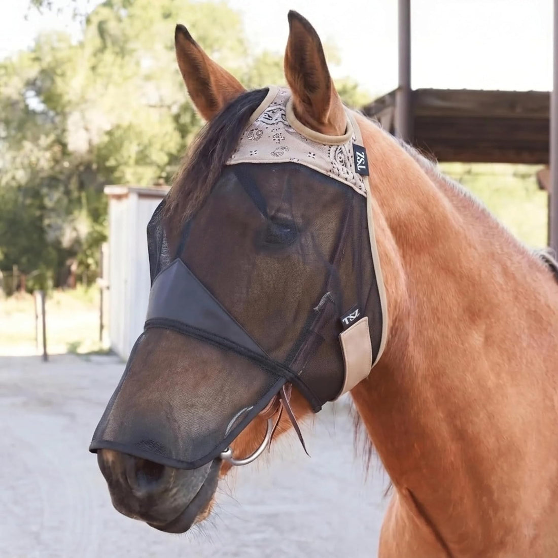 TSZ Fly Free Ride Horse Fly Mask Standard