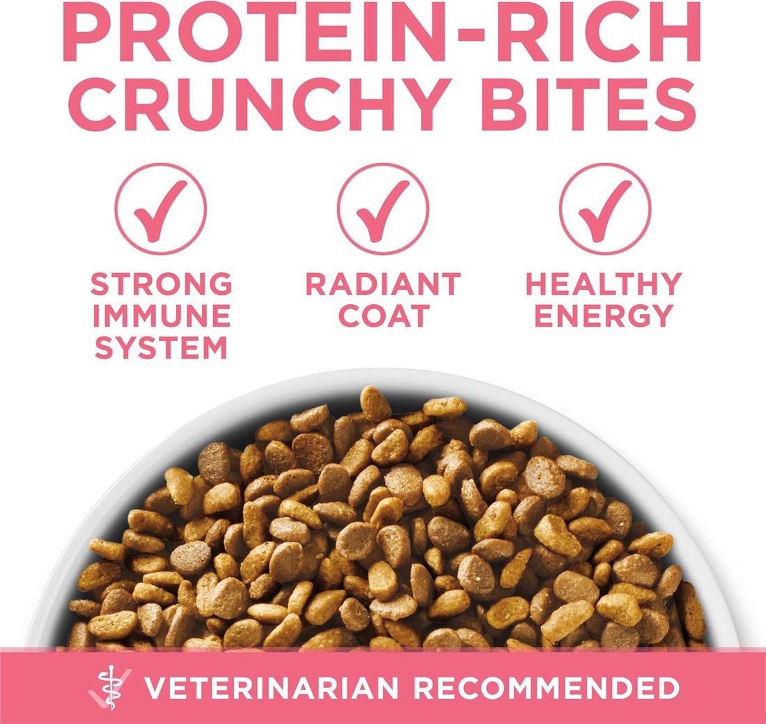 Purina ONE High Protein, Natural Dry Kitten Food