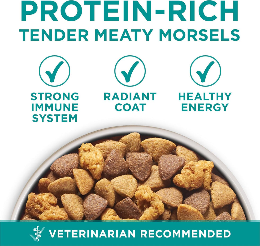 Purina ONE Plus Digestive Health Dry Dog Food, Chicken, 31.1 lb Bag