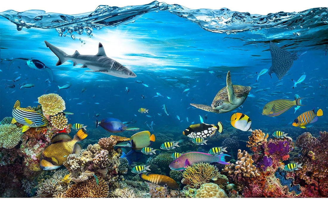 Underwater Aquarium Background Coral Reef Tropical Fish Terrarium