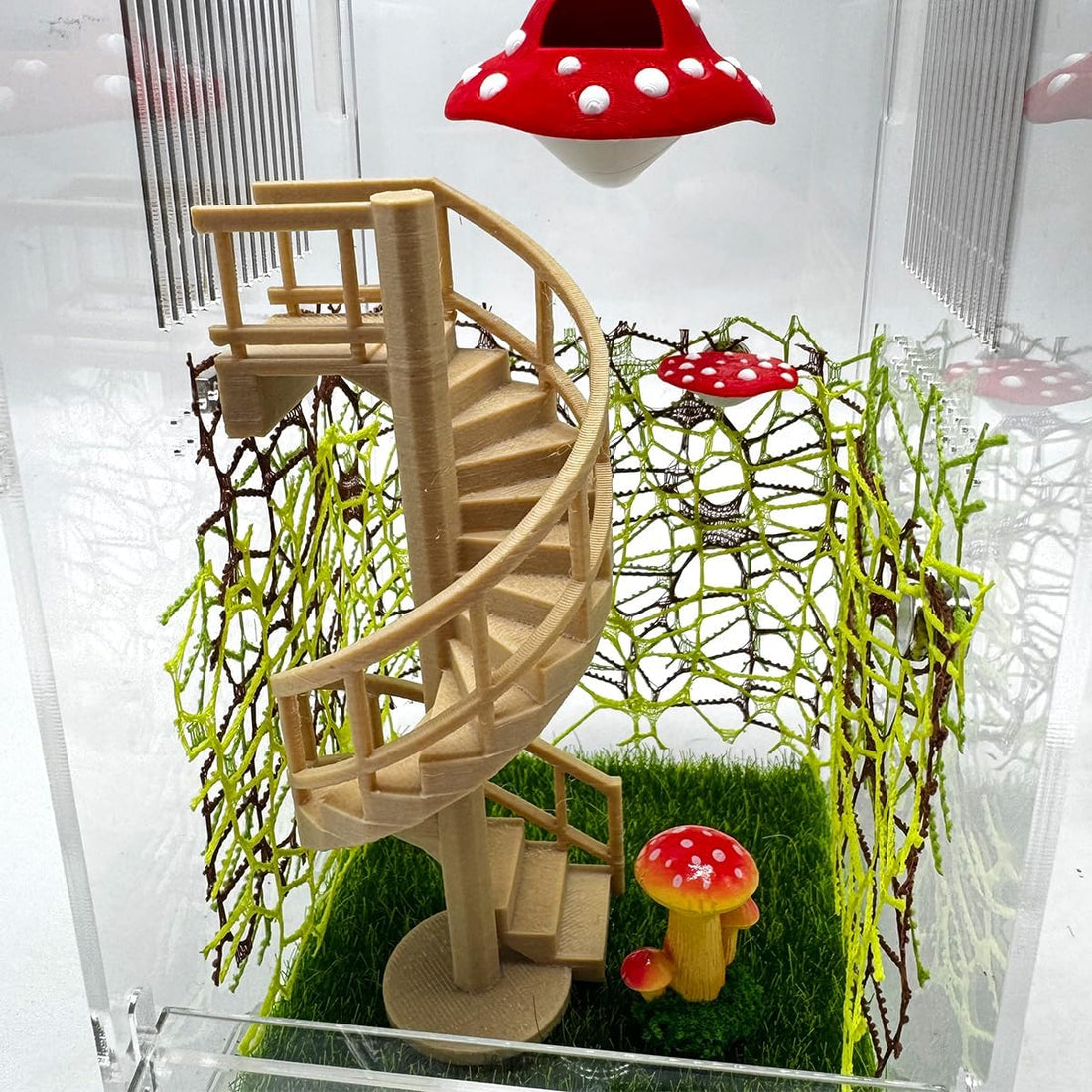 Jumping Spider Enclosure Accessories – Fun Spinning Stairs
