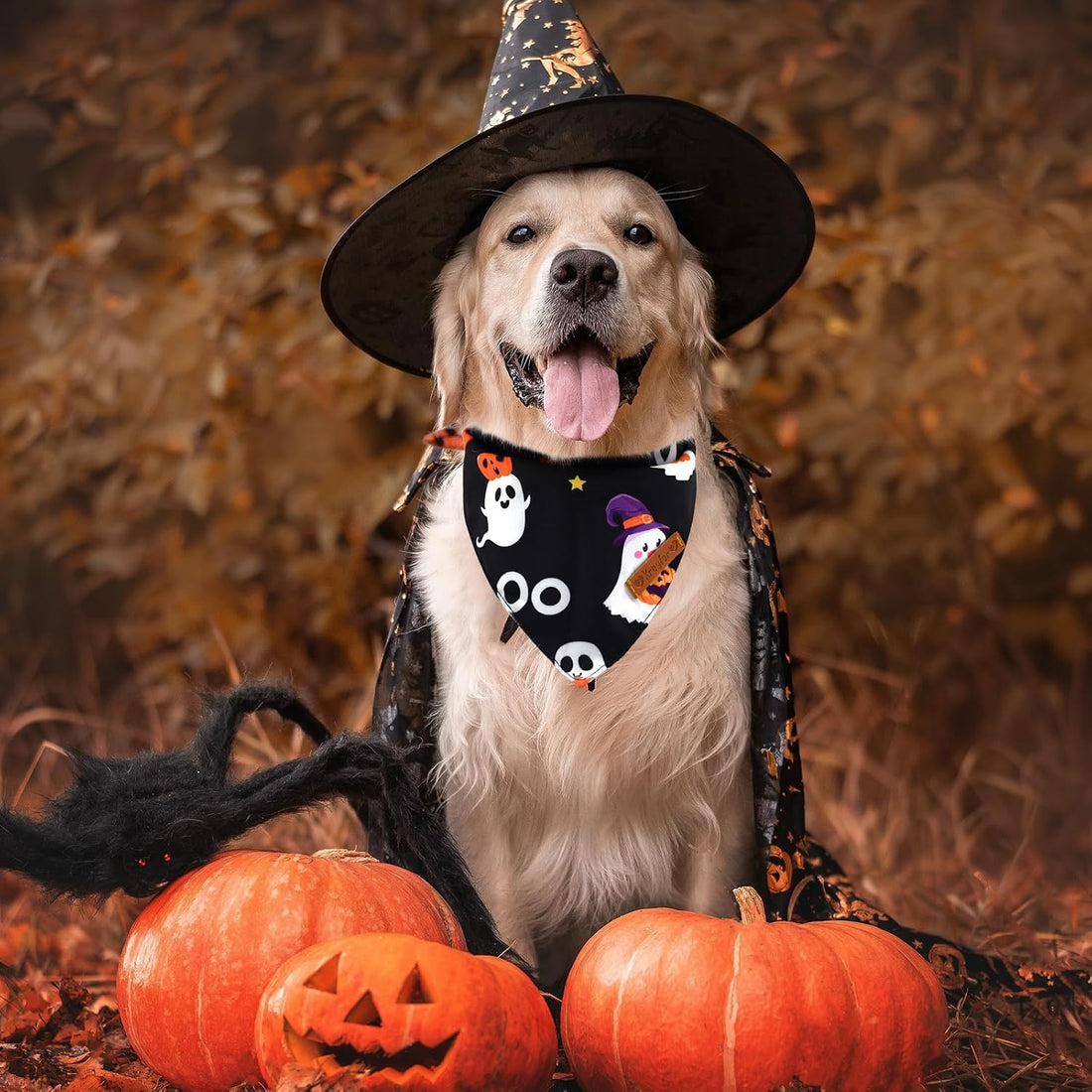 2 Pieces Halloween Dog Bandanas