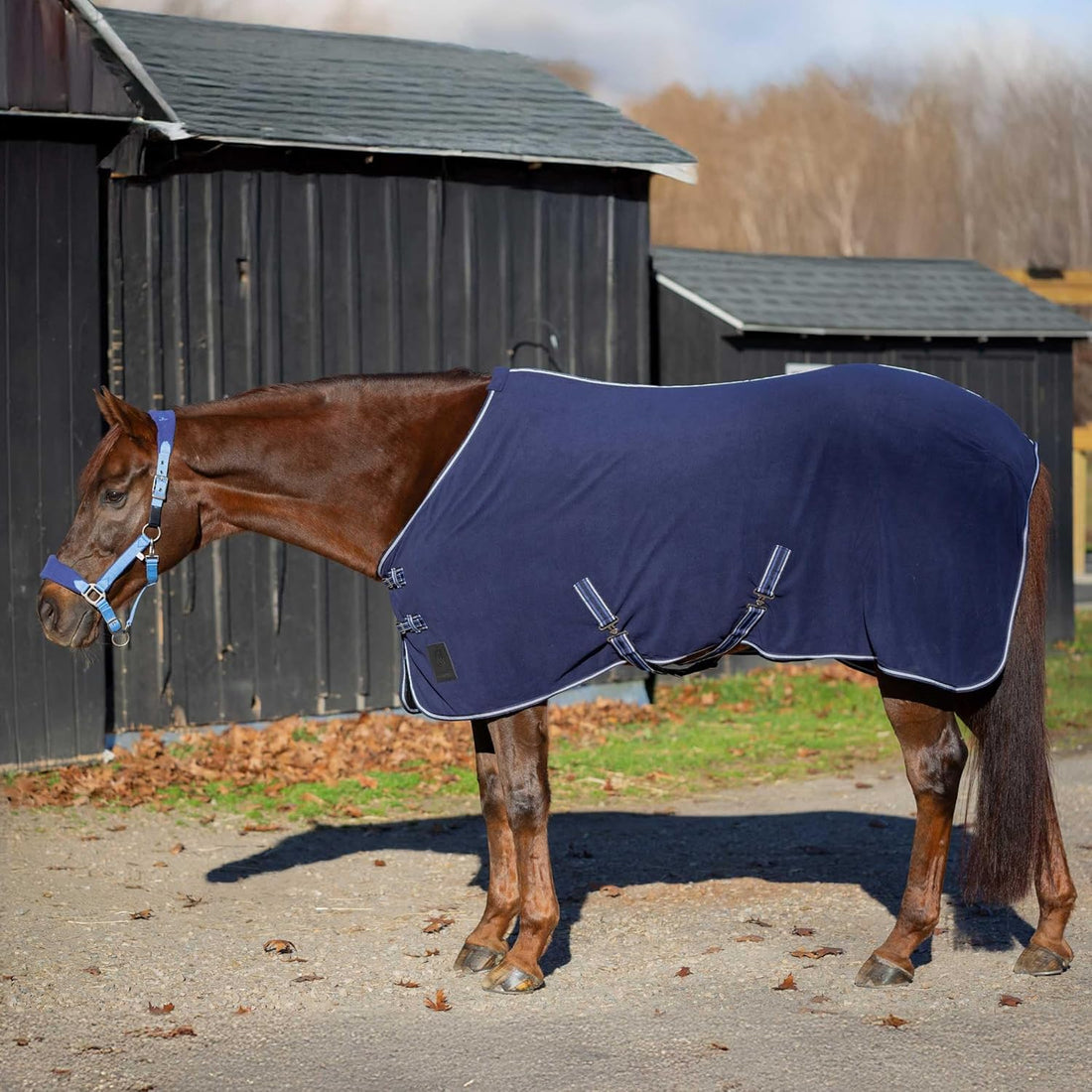 Equinavia Norse Anti-Pill Fleece Cooler | Blanket Liner for Horses