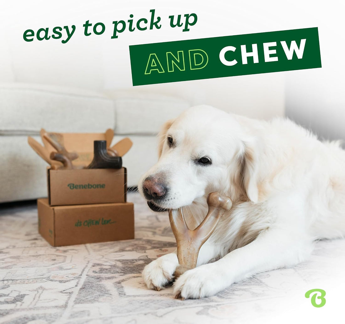 Benebone Medium 4-Pack Dog Toys for Aggressive Chewers