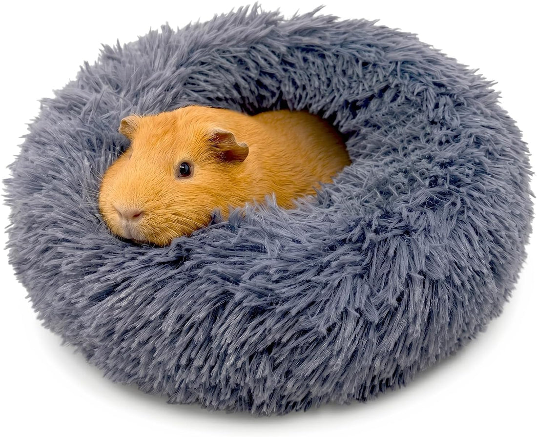 Paw Inspired Furr-O Burrowing Pet Bed Enrichment, Removable Base
