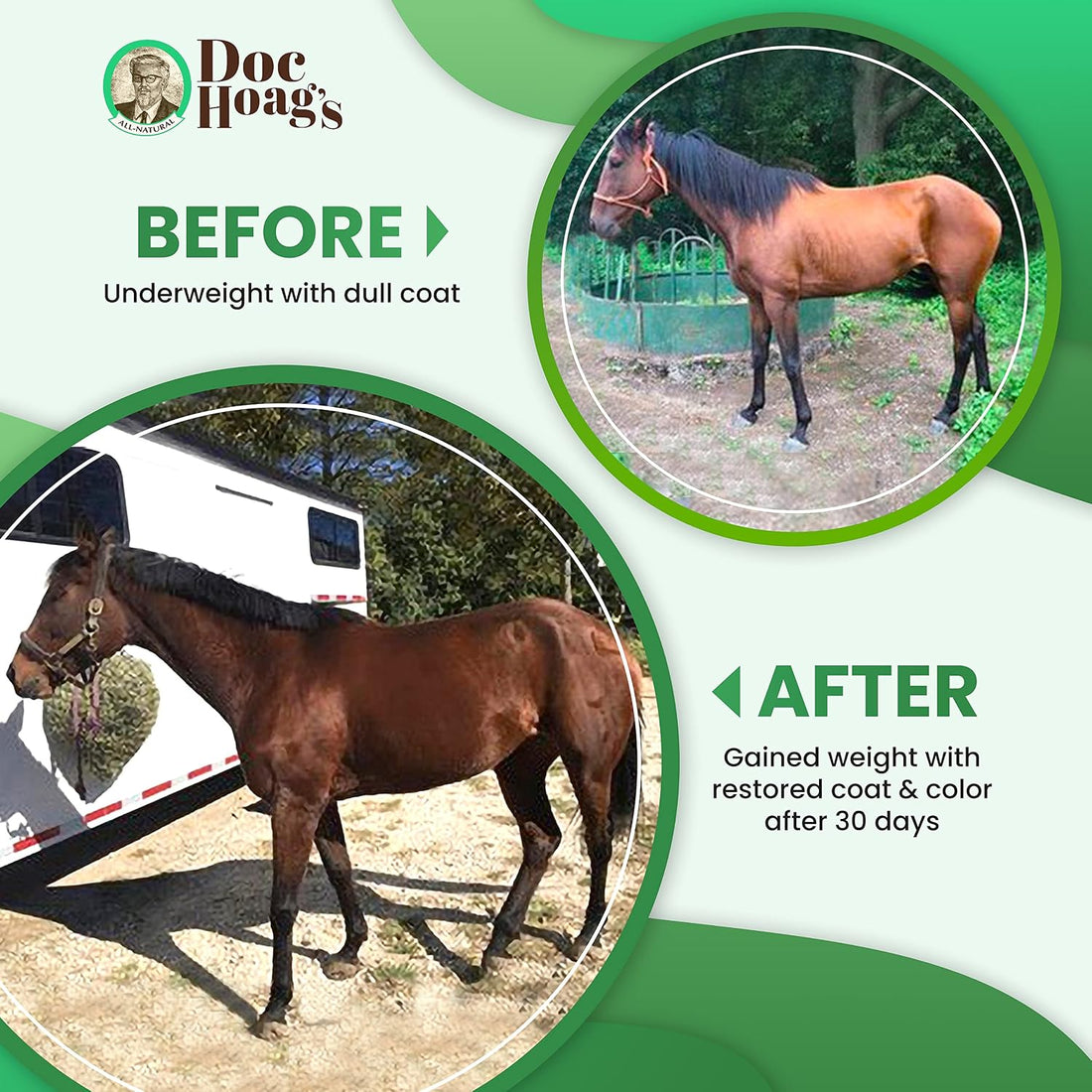 Doc Hoag's Aloe Vera Horse Supplement, Gastric & Ulcer Support