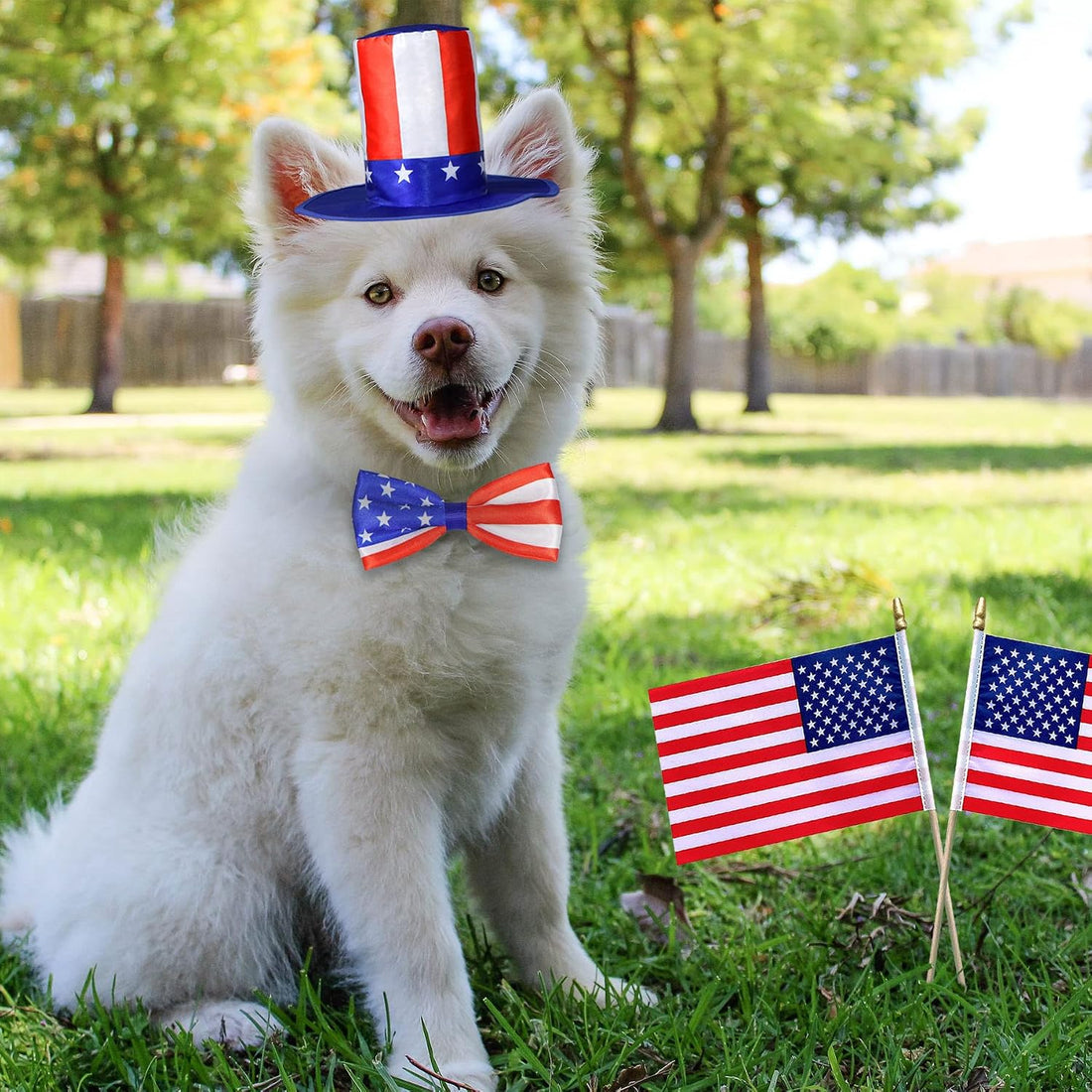GOYOSWA 3 PCS Dog 4th of July Outfit