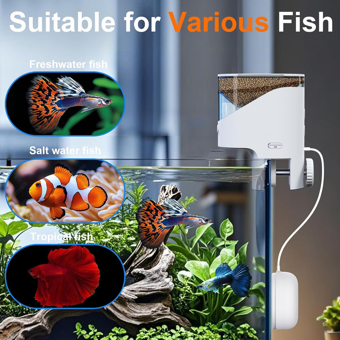 WiFi Automatic Fish Feeder for Aquarium, Flake Feeder with Camera