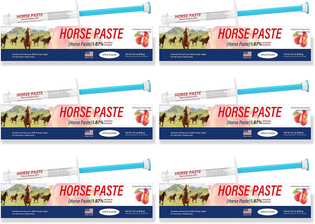 Equine Paste 1.87% – 6 Pack (6.08g) Apple Flavored Oral for Horses