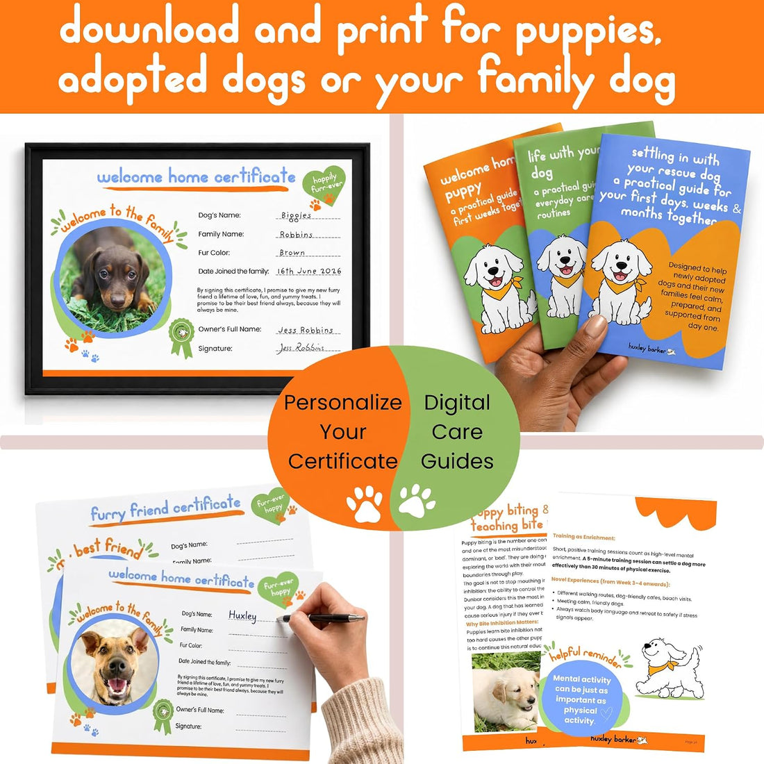 Premium Puppy Starter Kit - New Puppy Gift Basket with Essentials