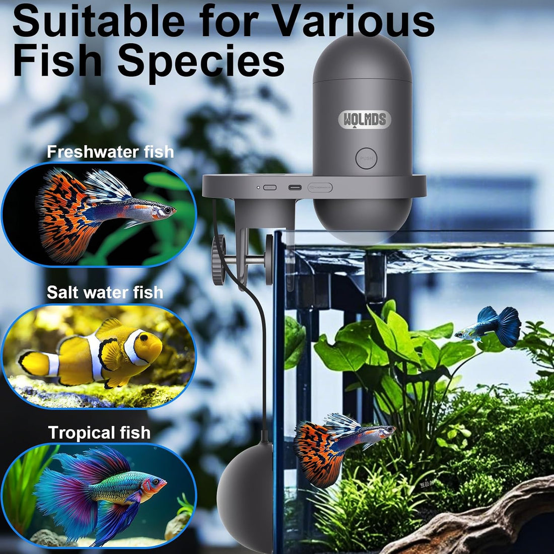 WiFi Automatic Fish Feeder for Aquarium