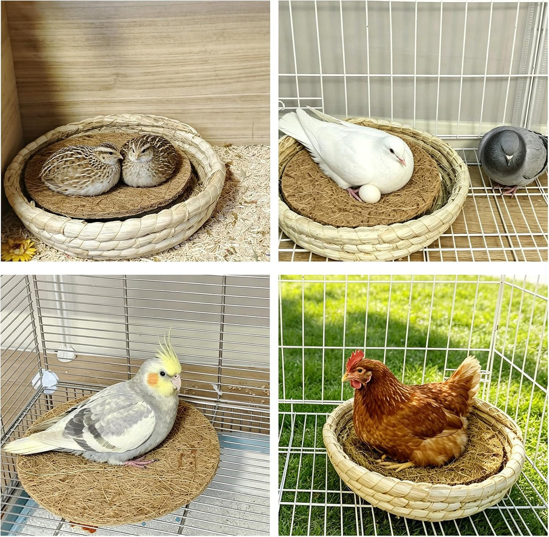 12PCS Pigeon Nest Pads Coconut Fiber Bird Nesting Material for Chicken
