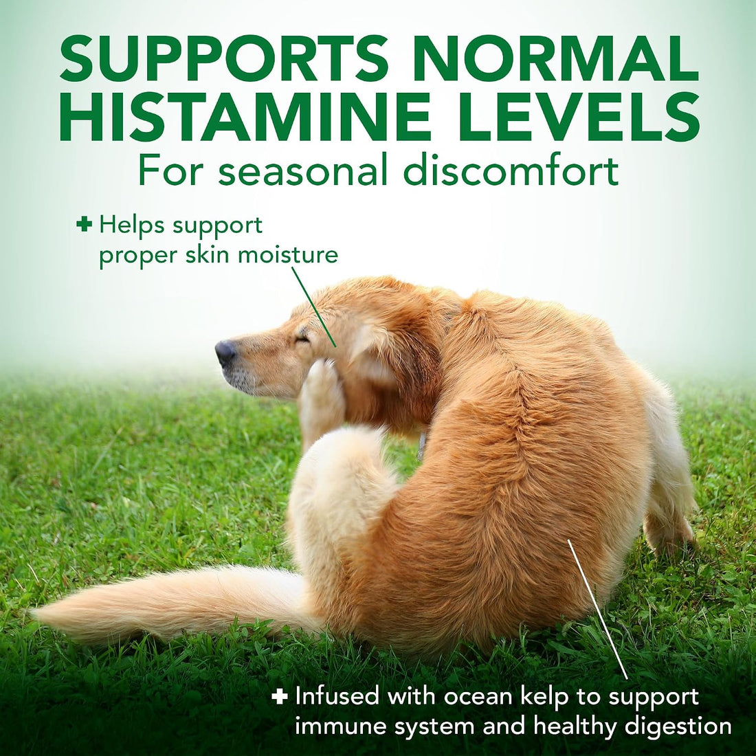 Vet's Best Seasonal Allergy Chewable Tablets for Dogs, Soothes Dog