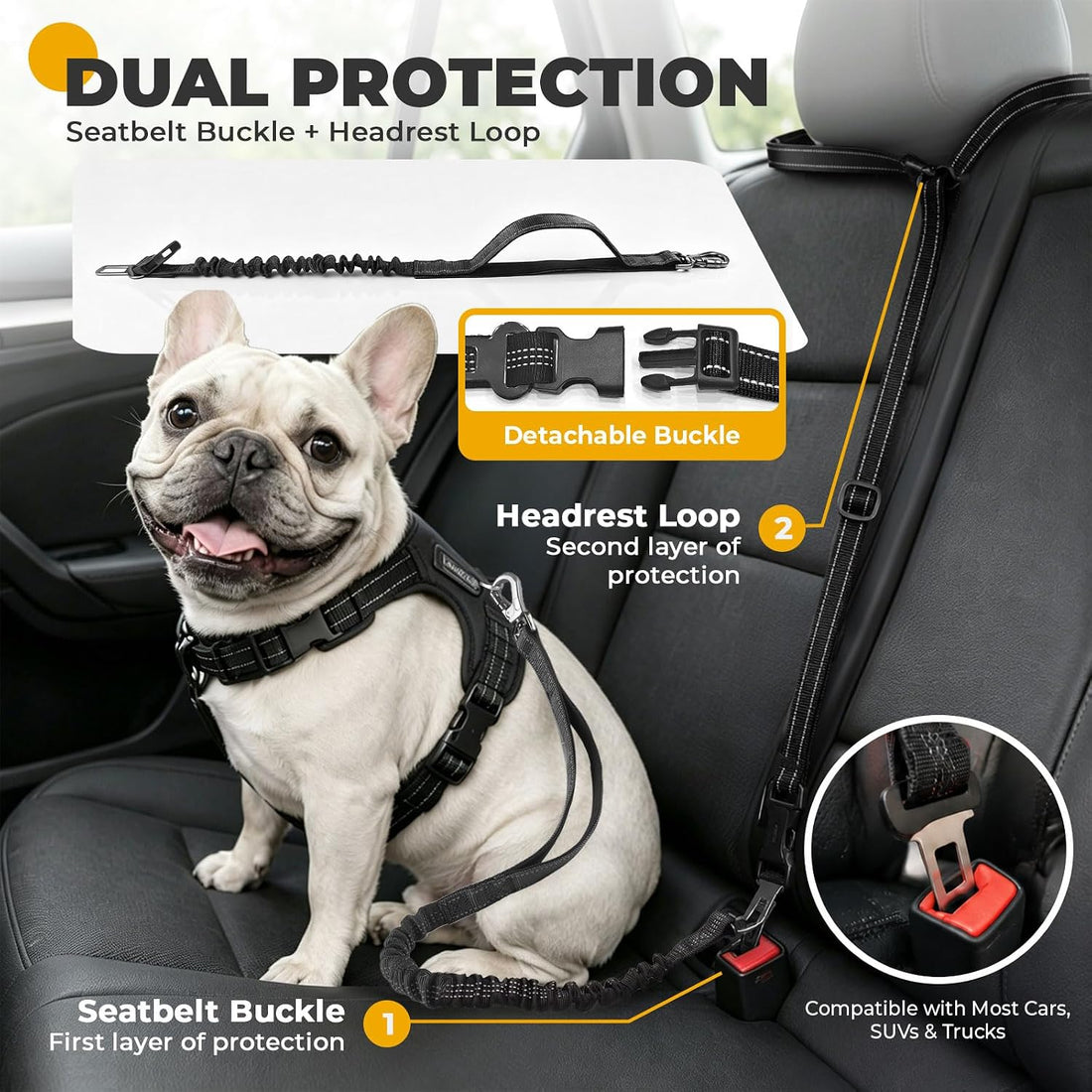 PETCARE 4 in 1 Hands Free Dog Leash with Car Seatbelt Buckle