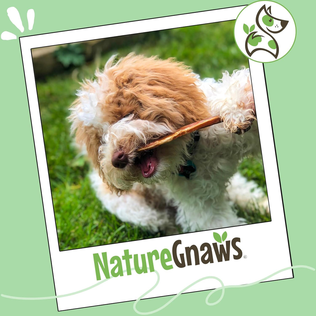 Nature Gnaws Extra Thin Bully Sticks 5-6" Rawhide Free Dog Chew