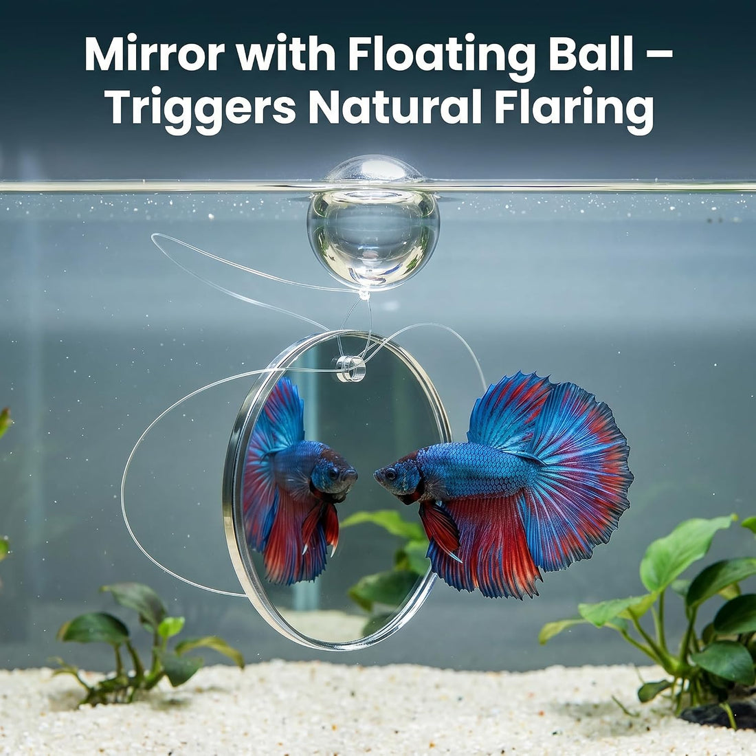 7Pcs Betta Fish Toys, Tank Accessories, Mirror & Training Rings