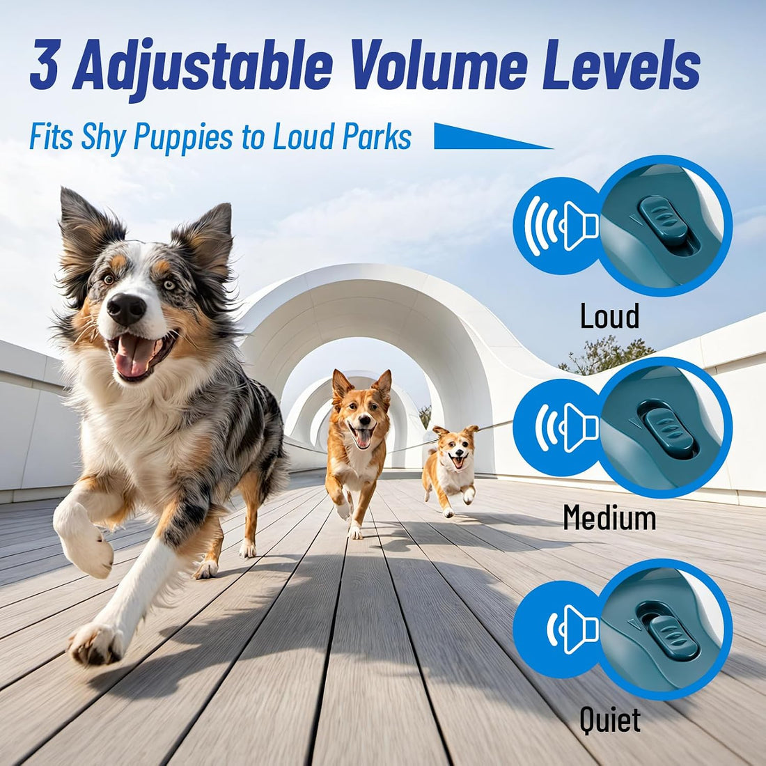 Dog Training Clicker 2 Pack with 3 Adjustable Volume & Wrist Strap