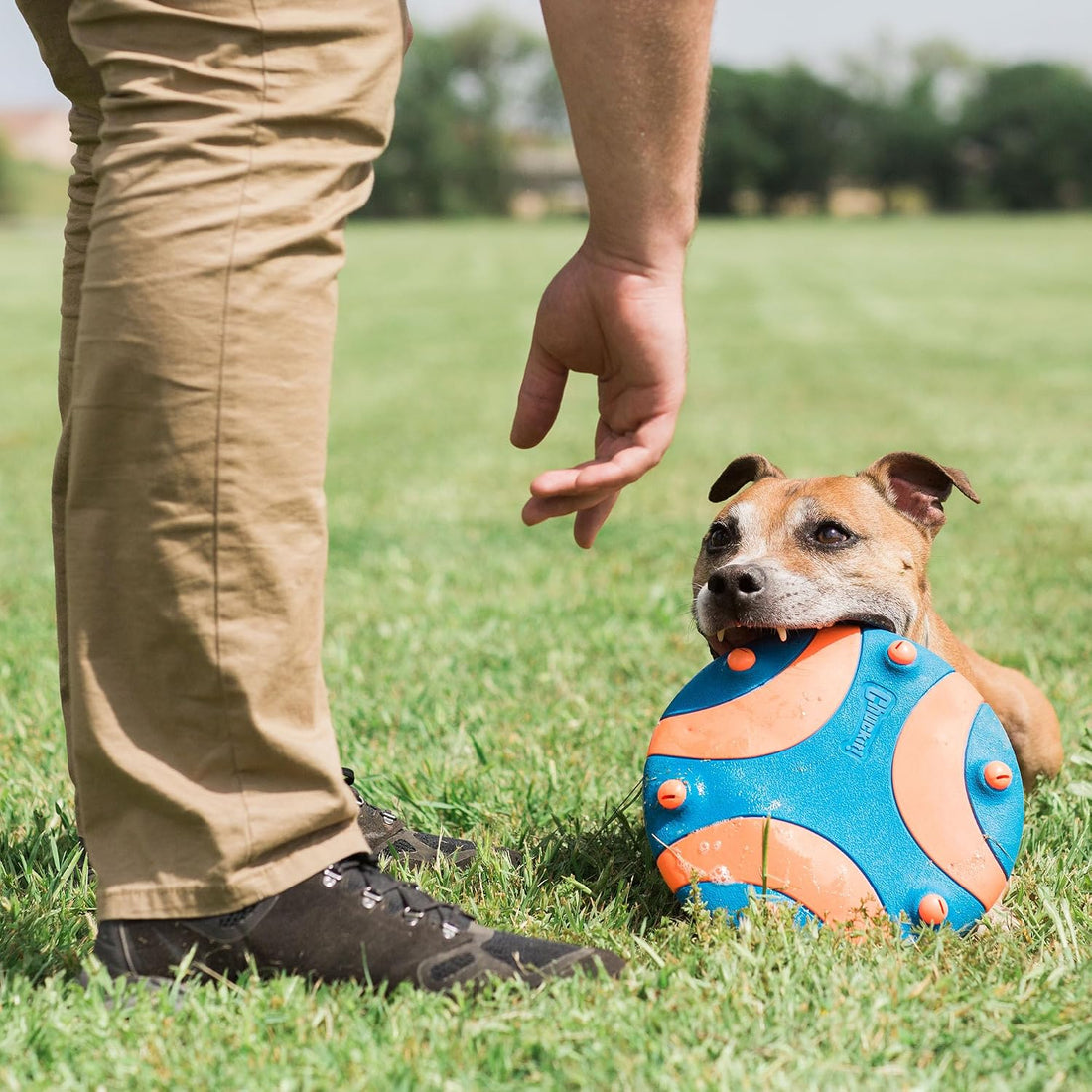 Chuckit! Whistle Flight Fetch Toy, Orange/Blue