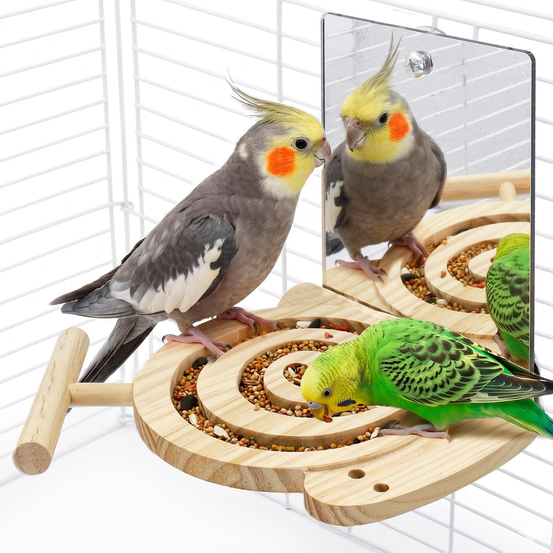 Bird Foraging Toys with Perch, for Novice/Older/Slow-Learning Birds