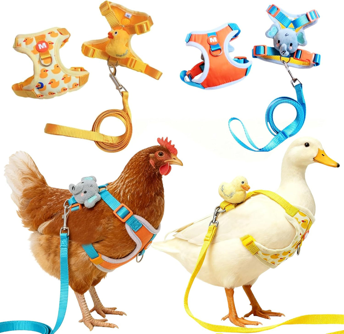 2Pcs Chicken Leashes and Harnesses Set