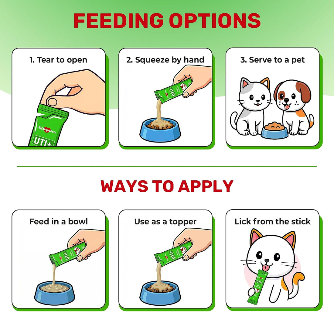 Cat UTI Treatment for Frequent Urination, Bladder & Kidney Irritation