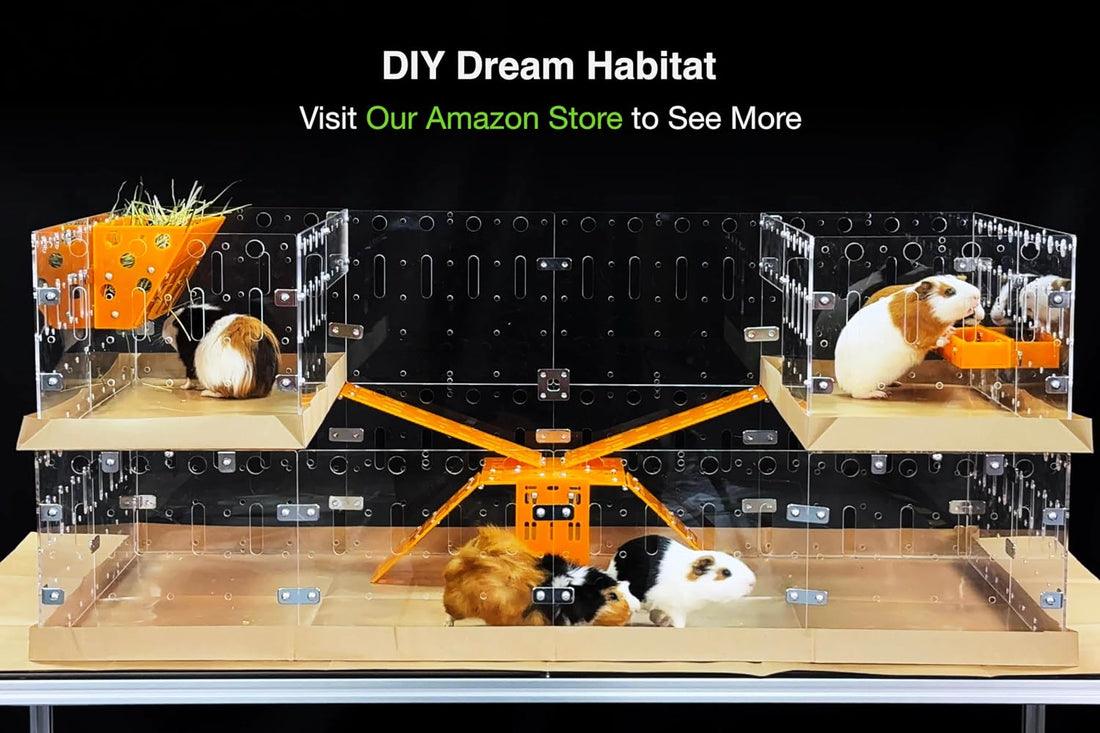 GuineaLoft™ Model-A Acrylic Guinea Pig Cage