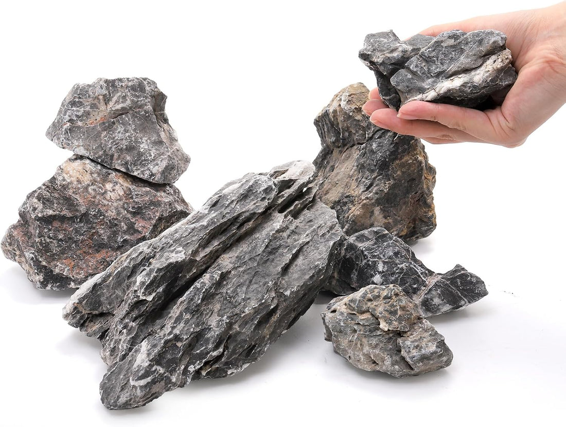 Eorbow 12lb Seiryu Stone, Aquarium Rocks for Terrariums, Paludarium