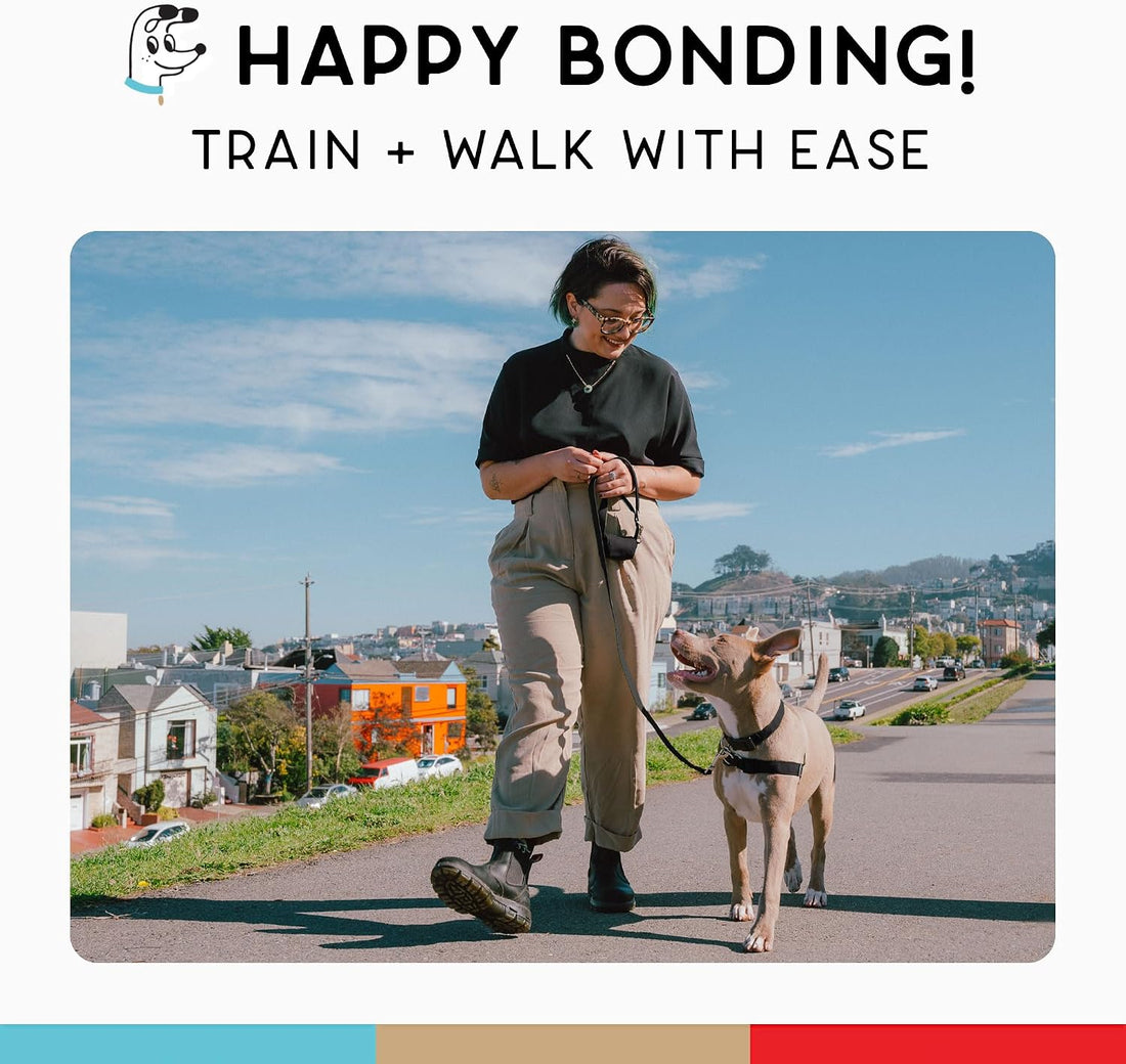 Wildebeest No Pull Dog Harness | Comfortable Training Harnesses