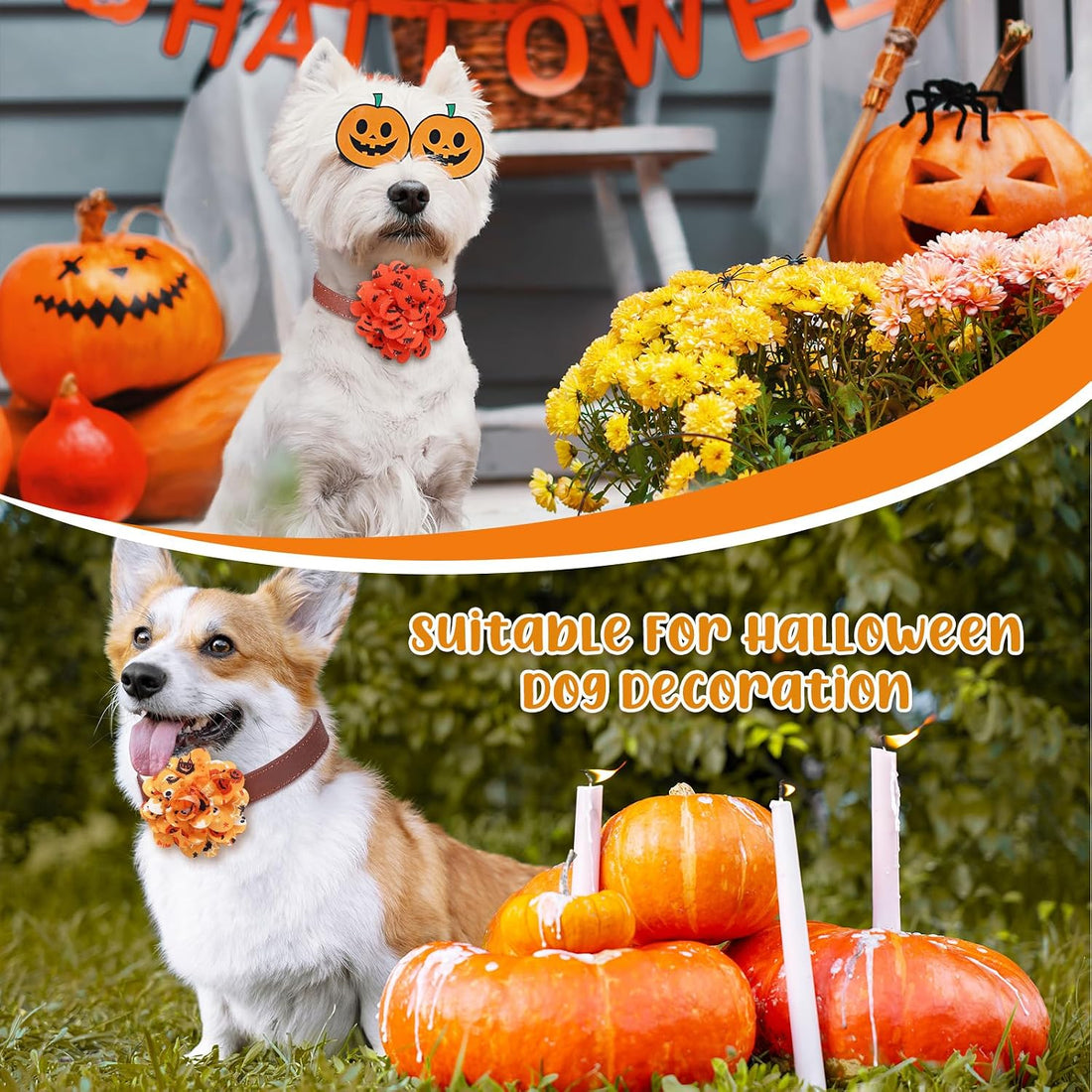 Silkfly 80 Pcs Halloween Dog Collar Flowers Bulk, Pet Bows