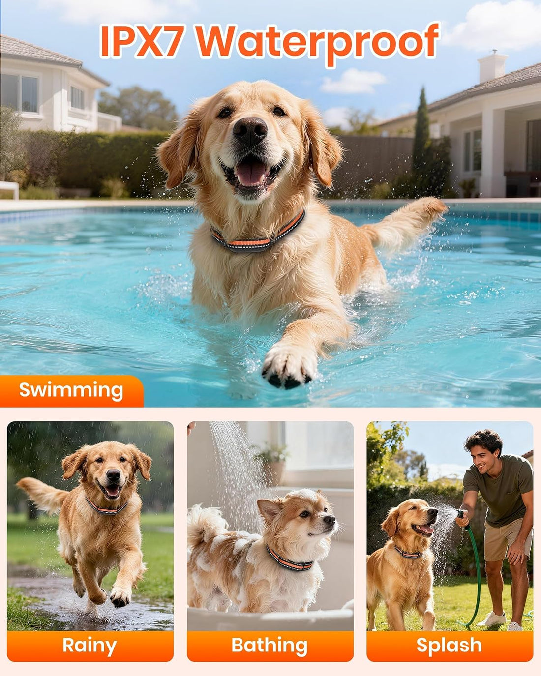 No Shock Dog Training Collar with Remote, Only Vibration & Beep