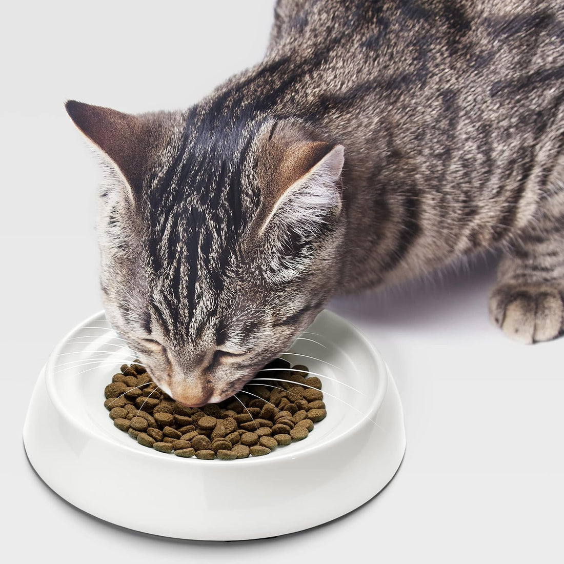 CatGuru Cat Bowls, Whisker Friendly Food Bowl for Indoor Cats