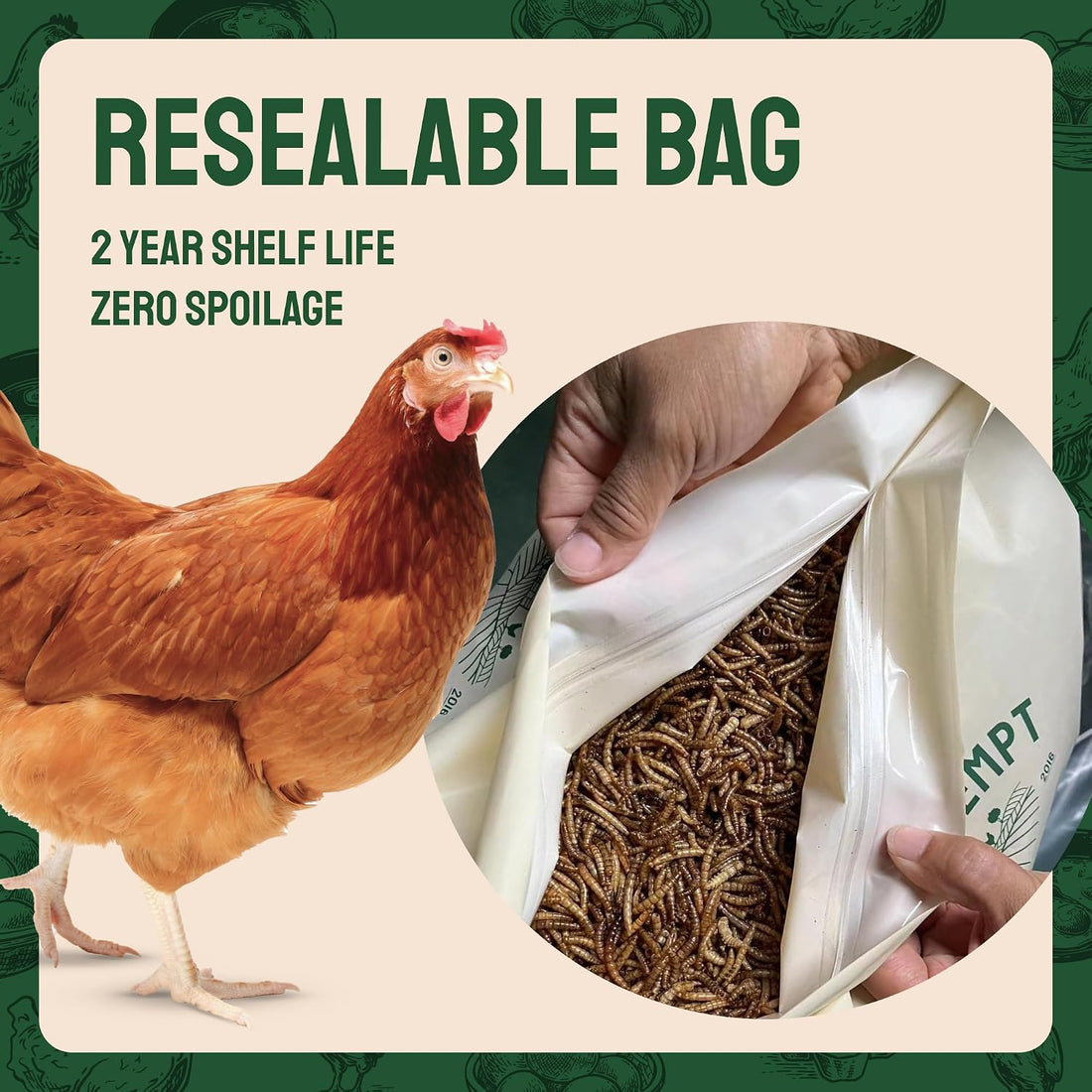 Hatortempt Bulk Dried Mealworms - 5 Lb Bag